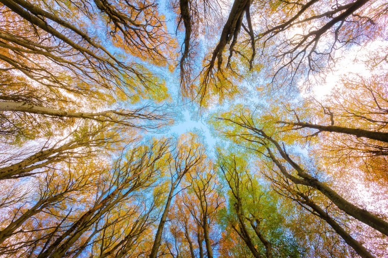 I NUOVI INIZI: uno spazio di riflessione sull’ambientamento
