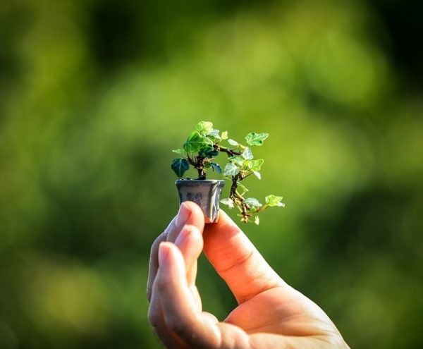 A PICCOLI PASSI: PERCORSI DI CRESCITA E FASI IMPORTANTI NELLO 0-6